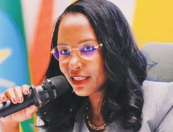 Addis Ababa Court Rules Against City's Roof and Wall Tax, Administration Defends Authority