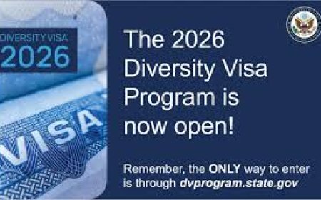 Check DV 2026 Results