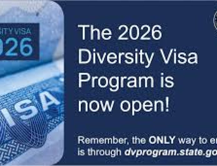 Check DV 2026 Results