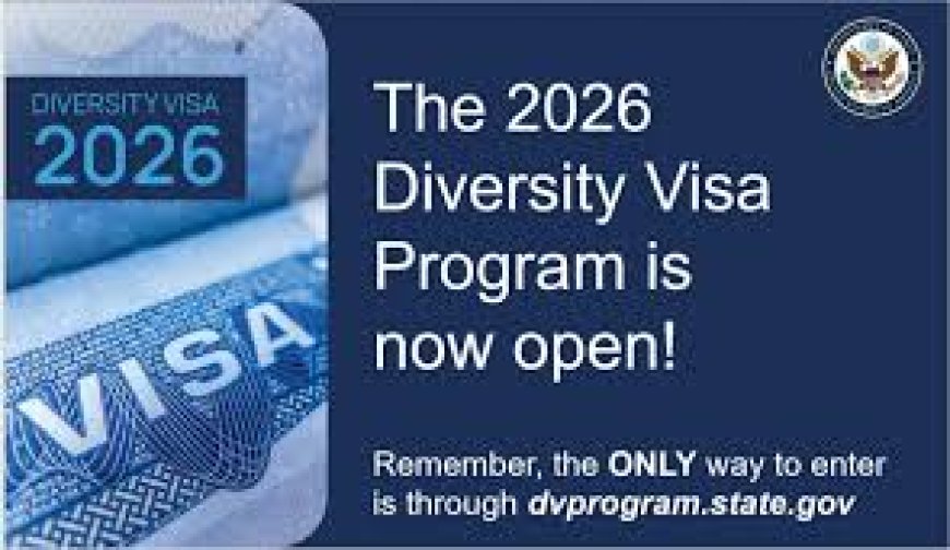 Check DV 2026 Results